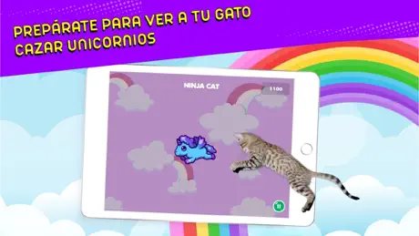 Ninja Cat: Juego para Gatos