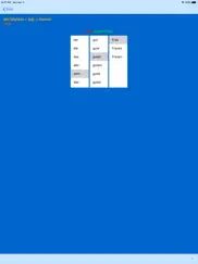german adjective endings ipad bildschirmfoto 3