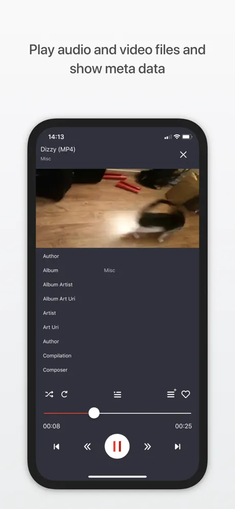 Chameleon Mediaplayer