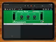 Analog Rack Screamer ipad bilder 2