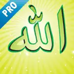 99 Names of Allah (Pro) App Cancel