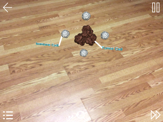 Screenshot #5 pour IRAE-AR