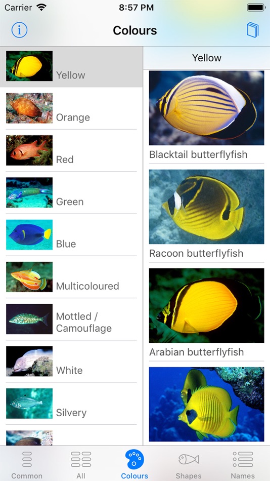 #3. Oman Fish ID (iOS) 由: John P. Hoover