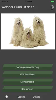 Hunderassen Quiz iphone bilder 0