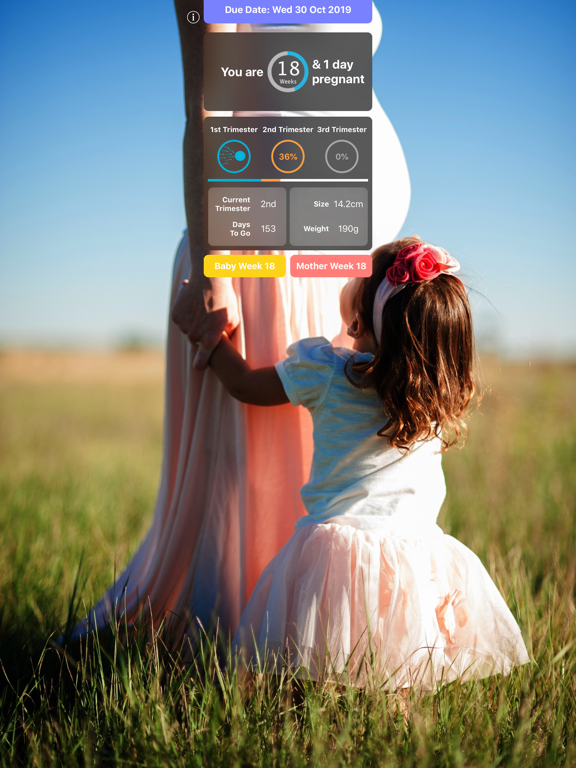 Screenshot #5 pour Pregnancy Today - Baby Tracker