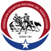 Seguros Ferochi