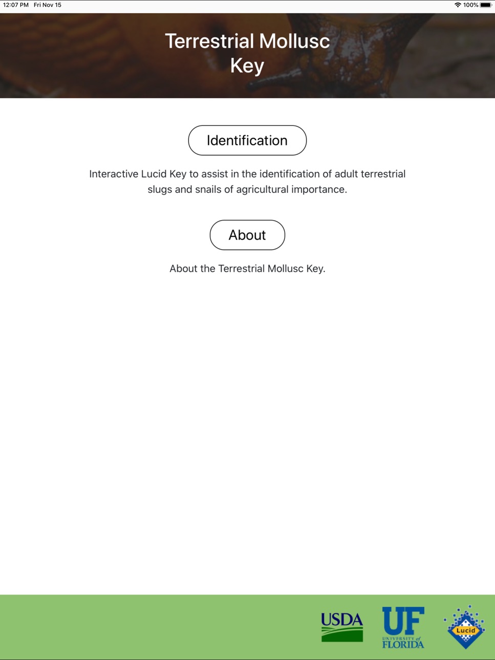 iPad screenshot