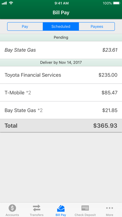 BFG Federal Credit Union Screenshot