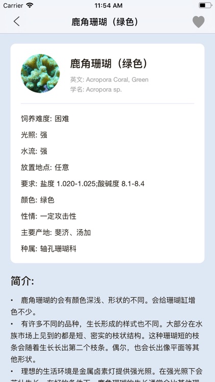 Coral Daquan screenshot-3