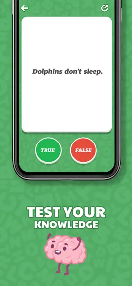 Game screenshot Is That True? - True or False apk