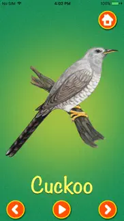 learn about birds iphone images 1