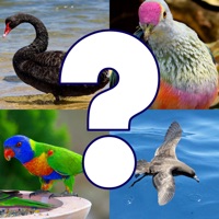 Bird Quiz - Birds of Australia