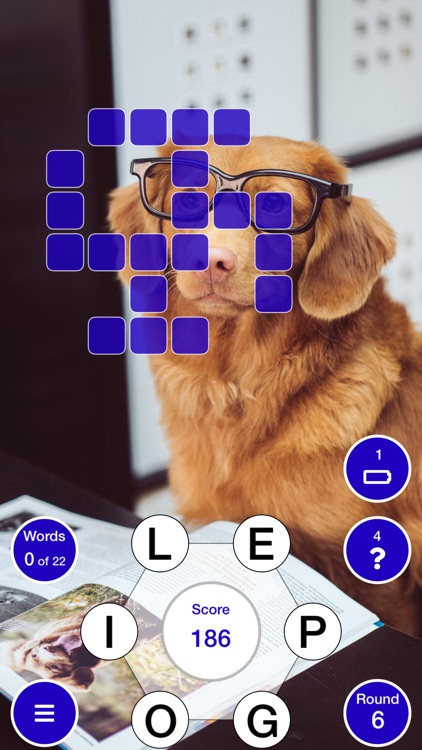 GuessWords screenshot-0