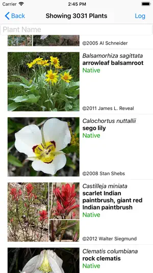 Colorado Wildflower Search screenshot 2