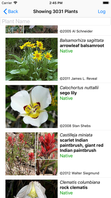 Screenshot #2 pour Colorado Wildflower Search