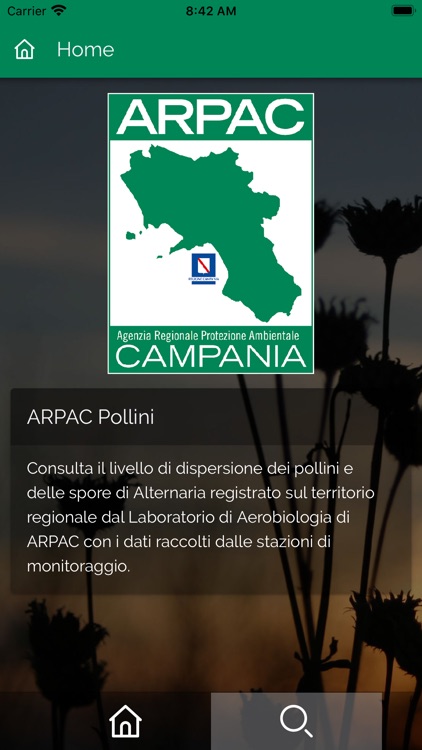 ARPAC Pollini