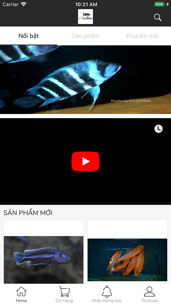 【图】Phong Ali(截图1)