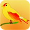 Bird_Encyclopedia