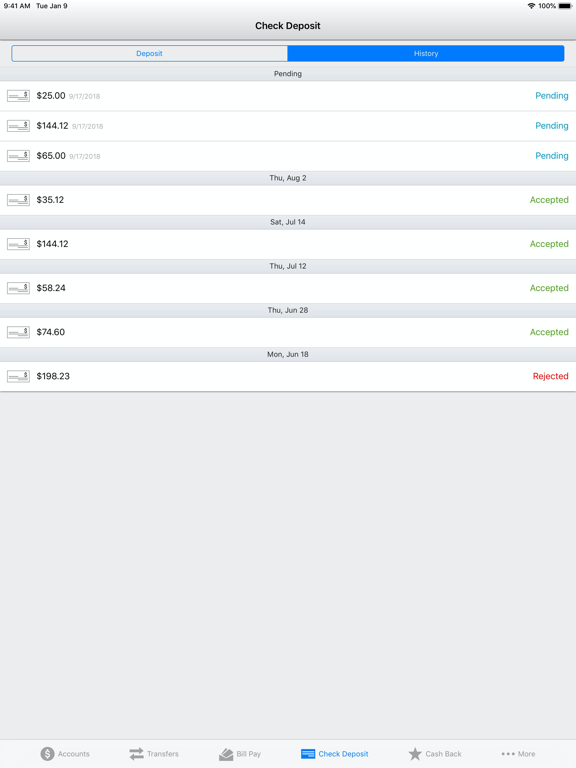 5Star Bank Mobile Banking iPad screenshot 9 - Finance app