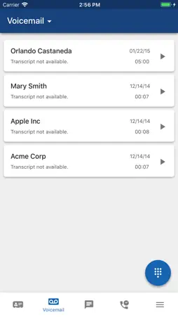 NextLevel Voice screenshot 3