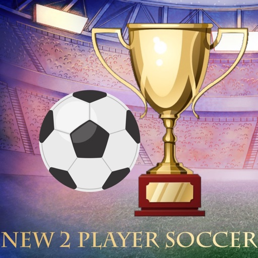 New 2 player soccer