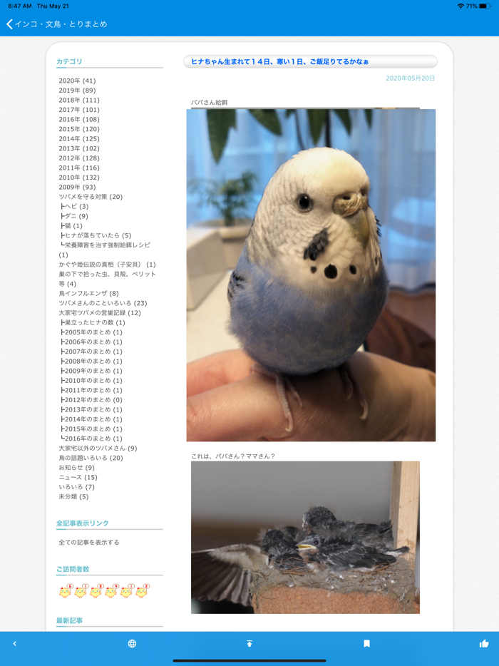 インコ・文鳥・とりまとめ