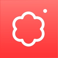 SOVS2 - 포즈 카메라