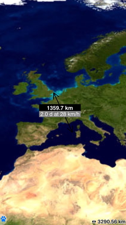 Multiplans screenshot-6