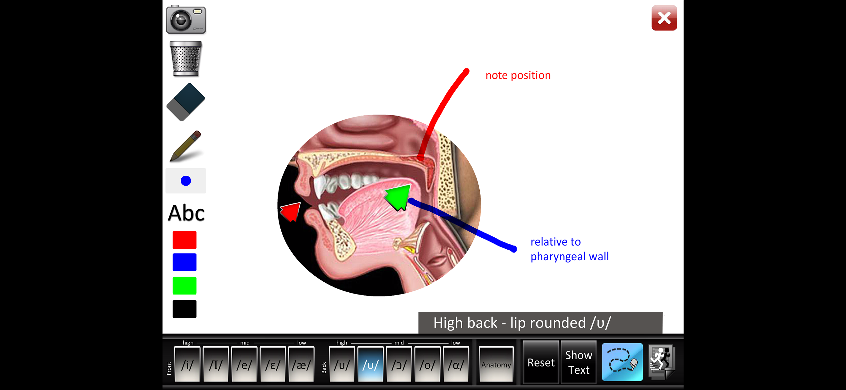 Vowels Front Back screenshot 5