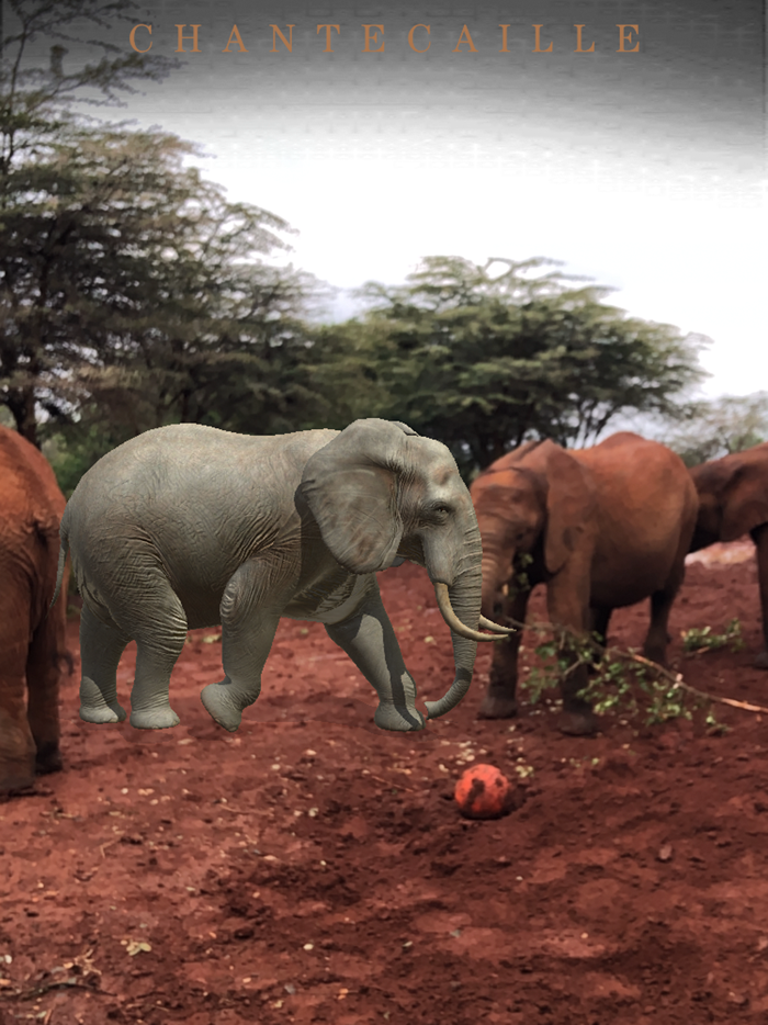 Chantecaille Wild Beauty