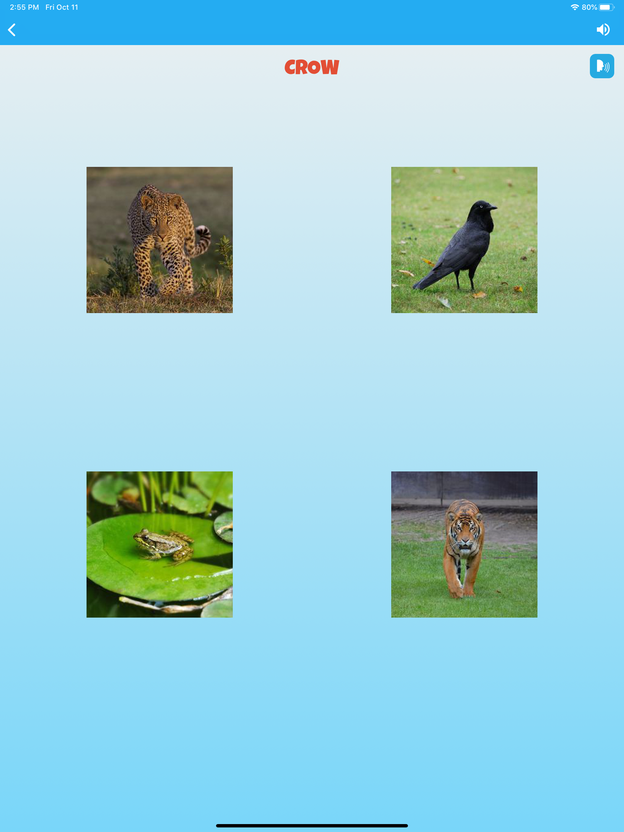 Animal Sounds for Kids Lite! screenshot 17