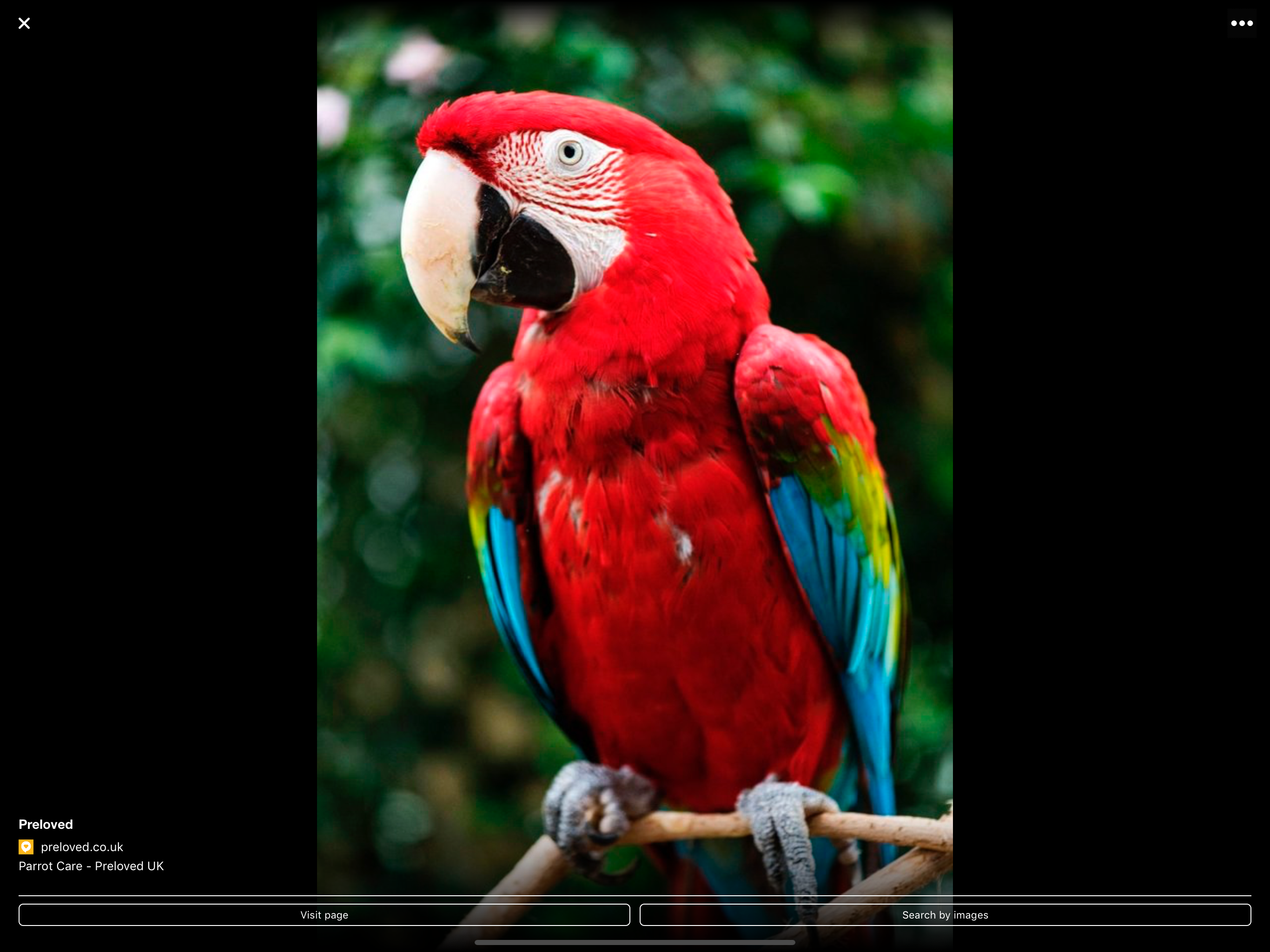 Wizor – Search by picture screenshot 8