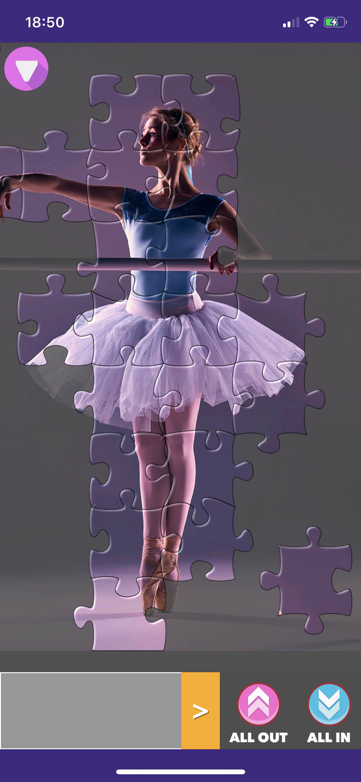 Puzzle Man -Jigsaw Collection