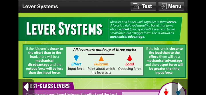Physical Education GCSE screenshot 5