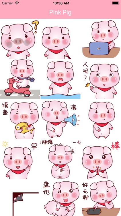 Pink Pig