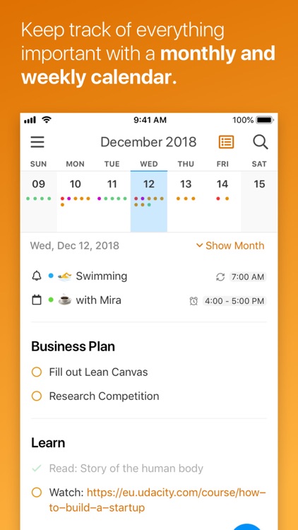 NotePlan - Work Planner screenshot-0