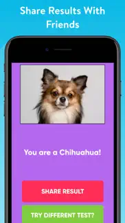 what type of dog are you? iphone screenshot 3