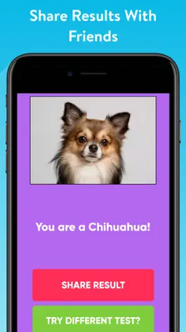 Game screenshot What Type Of Dog Are You? hack