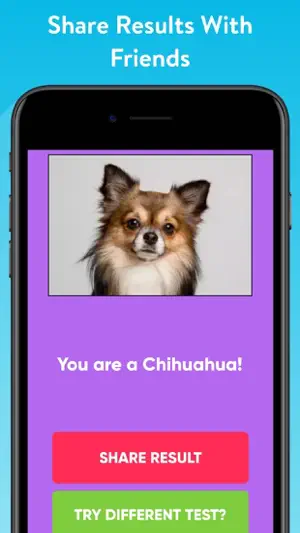 What Type Of Dog Are You? screenshot 3