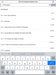 ny domestic relations law 2025 ipad images 1