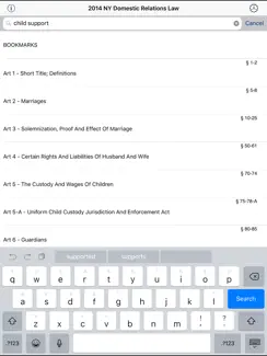NY Domestic Relations Law 2026 iPad image 1