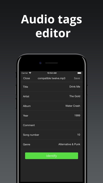 Evermusic: offline music + mp3 screenshot-4