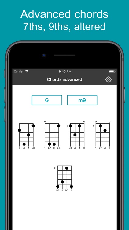 Ukulele Tuner EM-1 screenshot-4