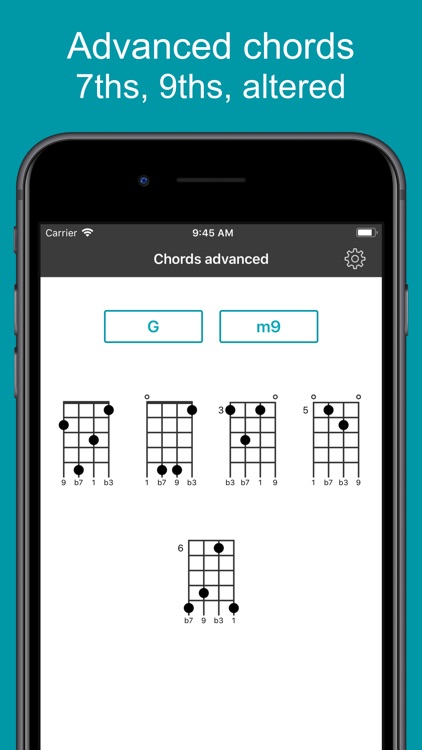 Ukulele Tuner EM-1 screenshot-4