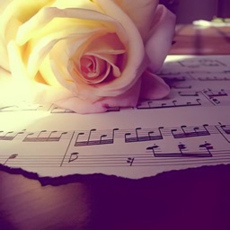 纯音乐-阿尔法记忆波