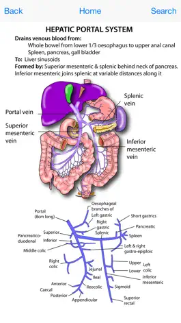 Game screenshot Instant Anatomy Flash Cards mod apk