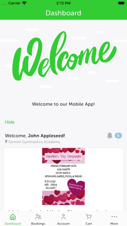 Gemini Gymnastics Academy