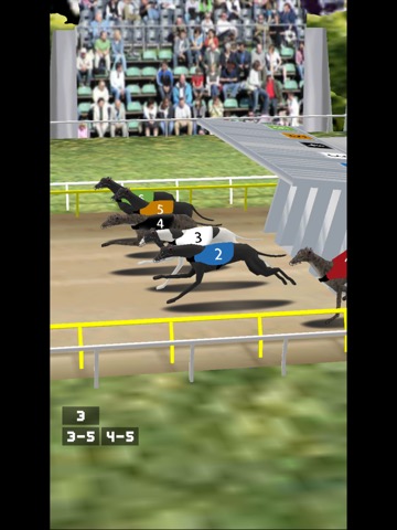 シンプルドッグレースのおすすめ画像3