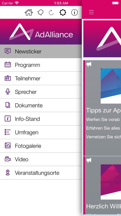 Ad Alliance Experience
