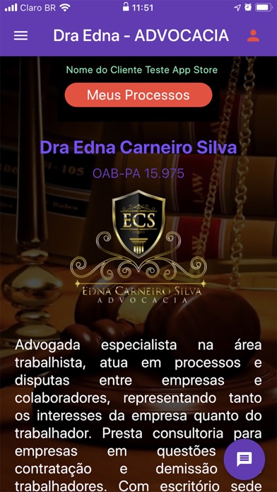Dra Edna C. Silva Advogada screenshot 3